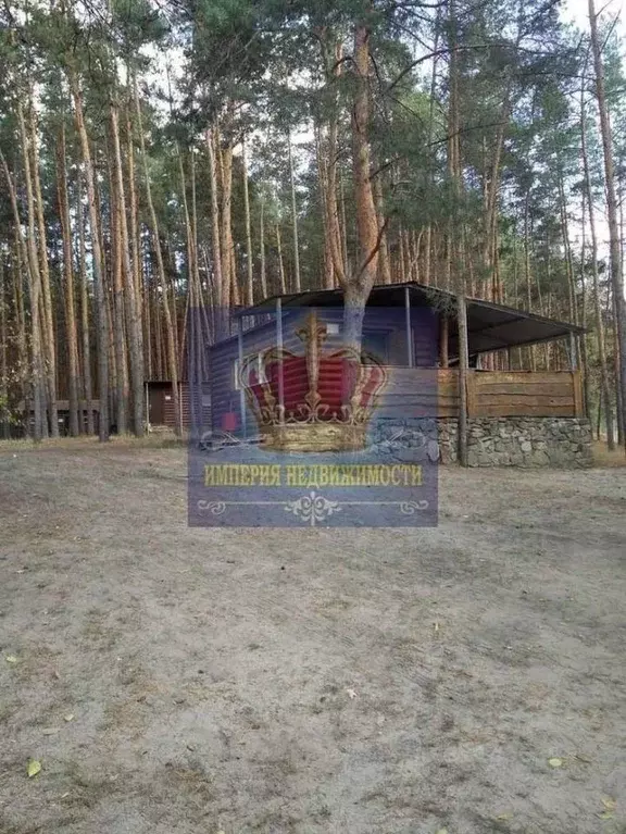 Торговая площадь в Белгородская область, Шебекинский муниципальный ... - Фото 1