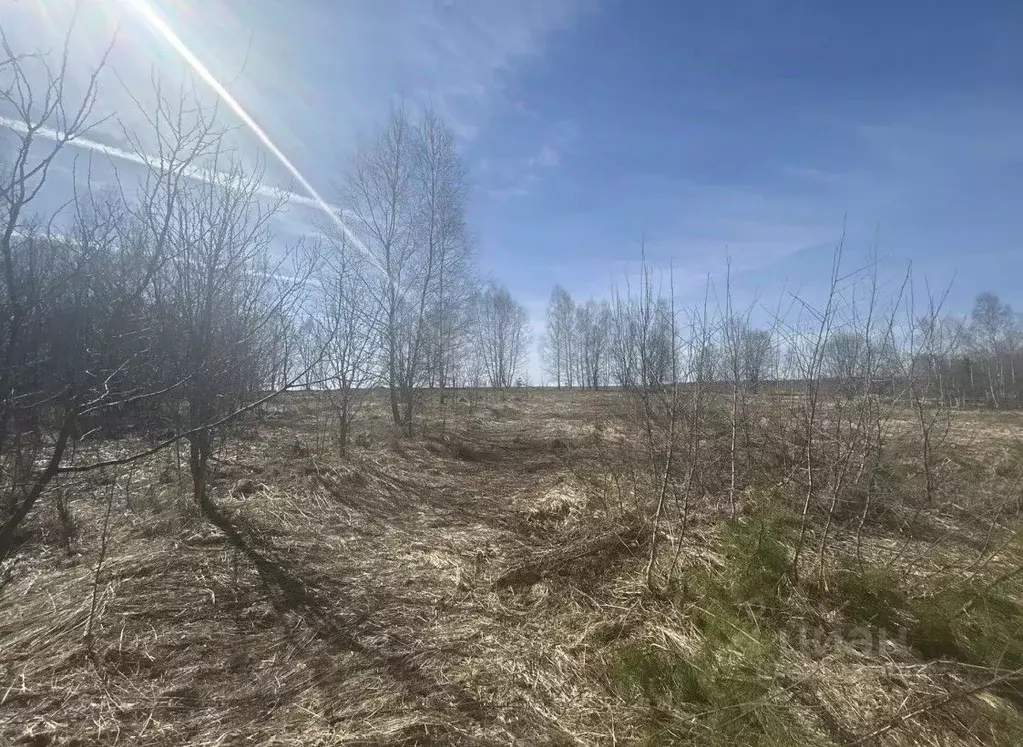 Участок в Московская область, Ступино городской округ, д. Алешково ул. ... - Фото 1