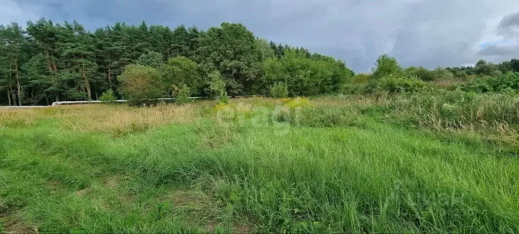 Участок в Калужская область, Калуга Михалевская ул. (25.0 сот.) - Фото 2