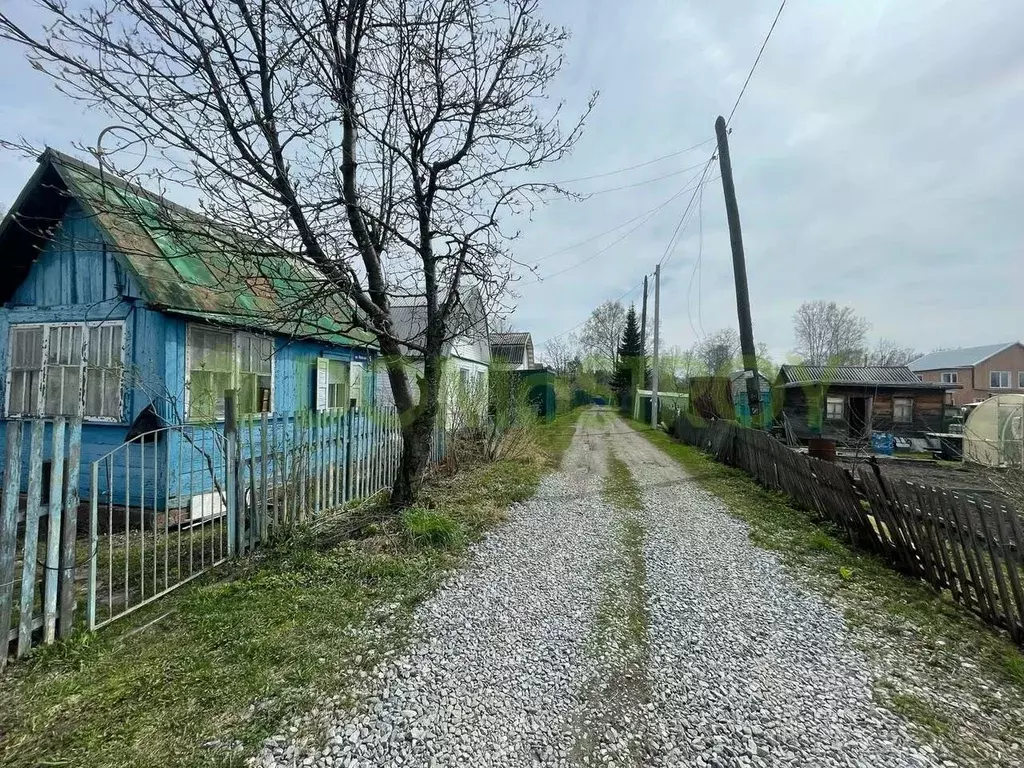 Дом в Новосибирская область, Новосибирск Звездочка садовое ... - Фото 1