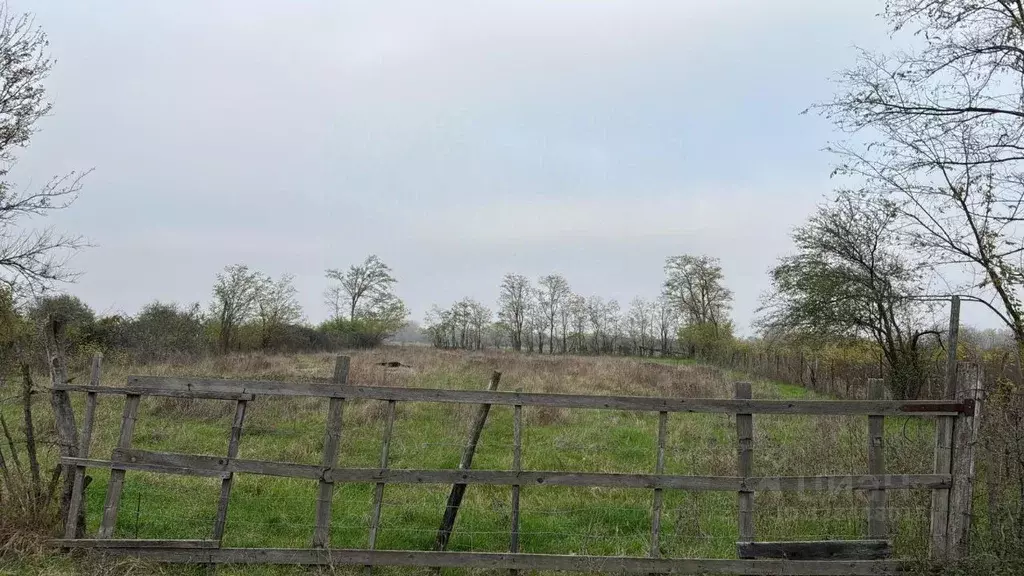 Участок в Адыгея, Тахтамукайский район, Афипсипское с/пос, Хаштук аул ... - Фото 1