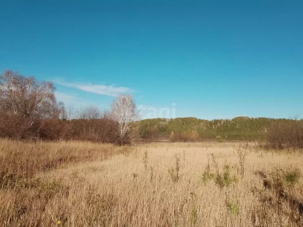 дом в пермский край, суксунский городской округ, с. торговище ул. . - Фото 0