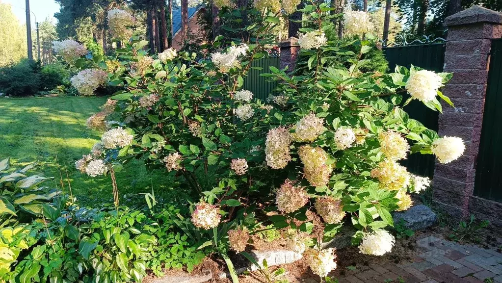 Дом в Санкт-Петербург пос. Песочный,  (250 м) - Фото 2