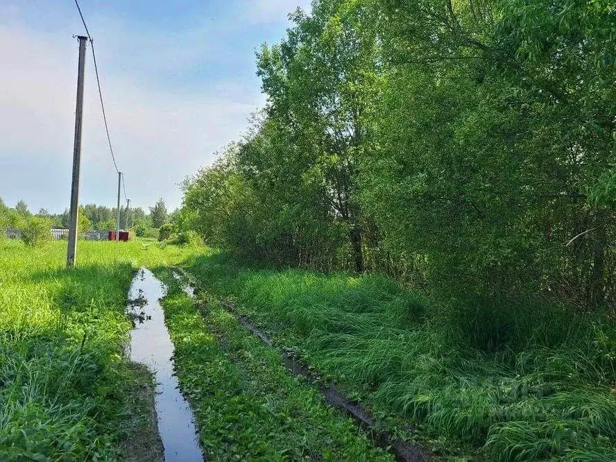 Участок в Ленинградская область, Лужский район, пос. Скреблово  (9.15 ... - Фото 2