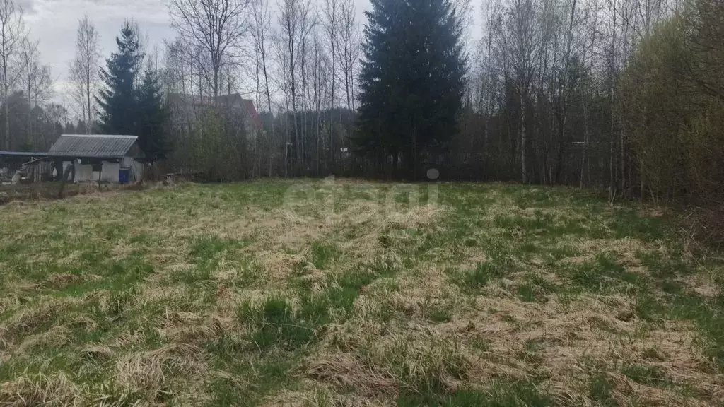 Участок в Ленинградская область, Киришский район, Глажевское с/пос, д. ... - Фото 2