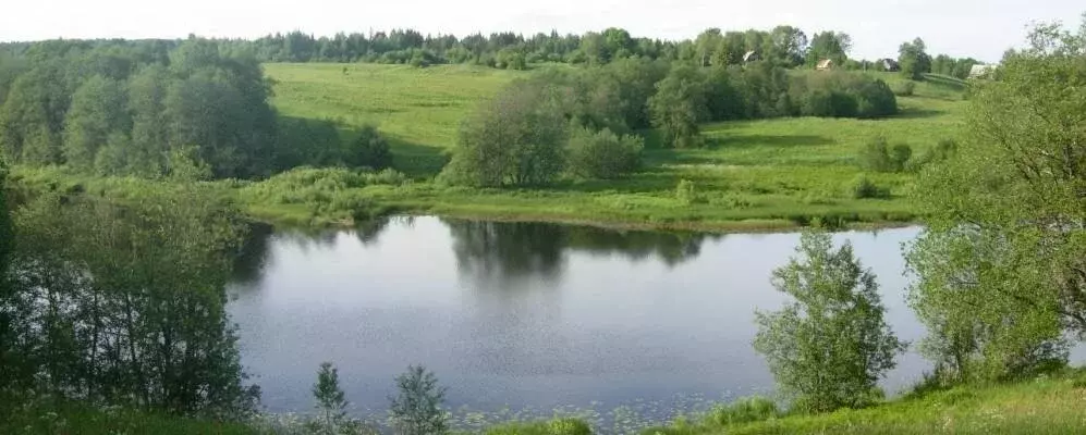 Участок в Едровское сельское поселение, деревня Труфаново (1.7 м) - Фото 0
