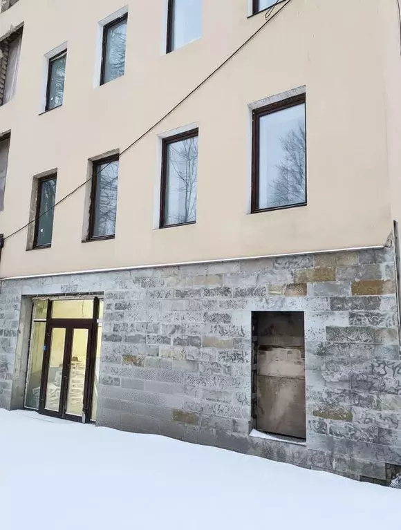 Помещение свободного назначения в Санкт-Петербург Днепропетровская ... - Фото 1