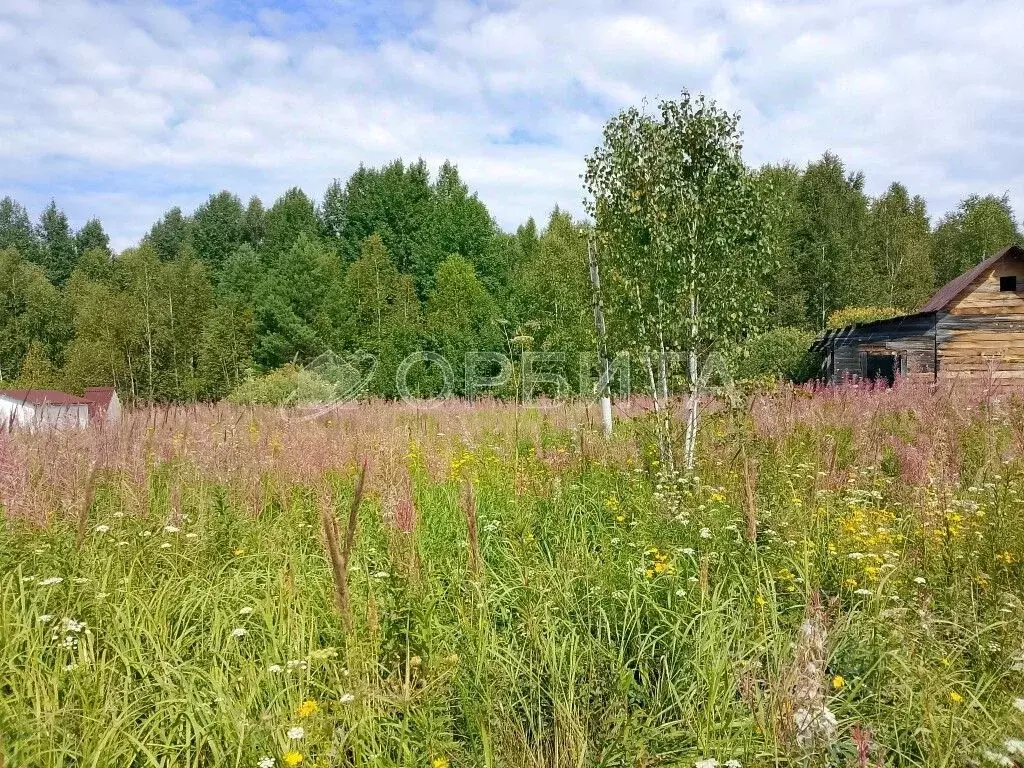 Участок в Тюменская область, Нижнетавдинский район, Сундукуль СНТ  ... - Фото 1