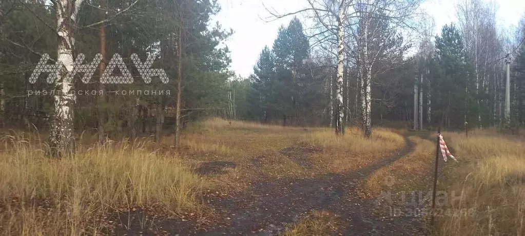 Участок в Нижегородская область, Нижний Новгород пос. Березовая Пойма, ... - Фото 2