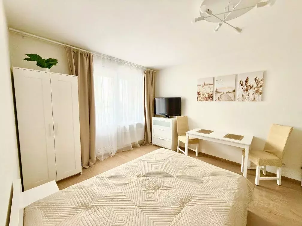 Студия Санкт-Петербург просп. Энергетиков, 11к5 (26.0 м) - Фото 2