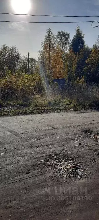 Участок в Архангельская область, Плесецкий муниципальный округ, пос. ... - Фото 2