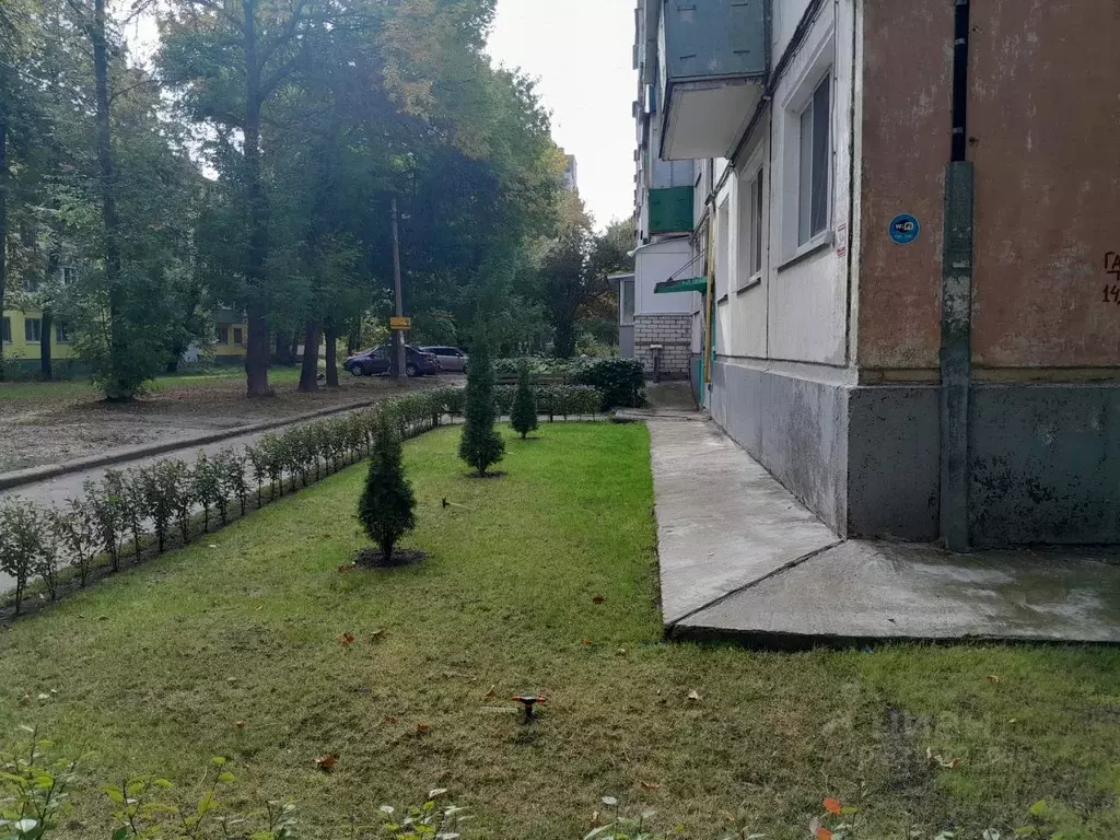 3-к кв. Ульяновская область, Ульяновск ул. Полбина, 38 (49.0 м) - Фото 1
