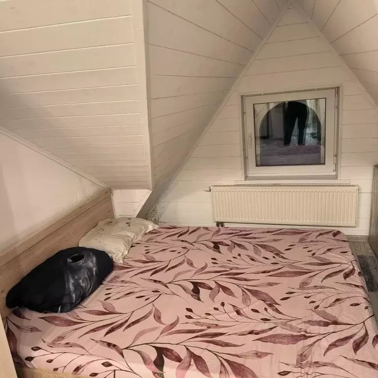 Студия Московская область, Химки городской округ, д. Подолино, ... - Фото 1