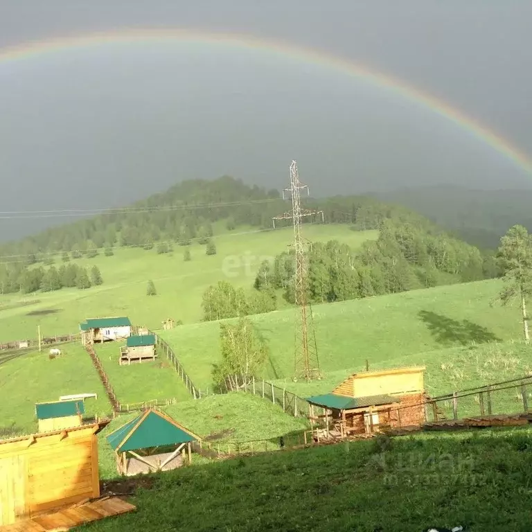 Производственное помещение в Алтайский край, Солонешенский район, с. ... - Фото 1