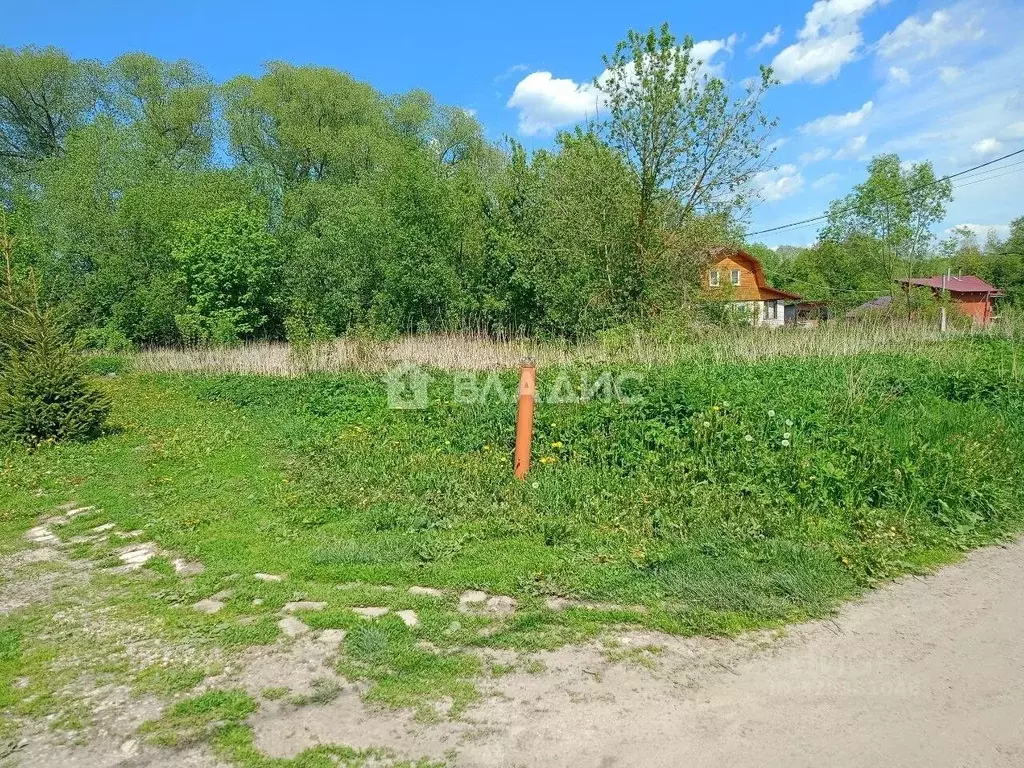 Участок в Владимирская область, Суздальский район, Новоалександровское ... - Фото 1