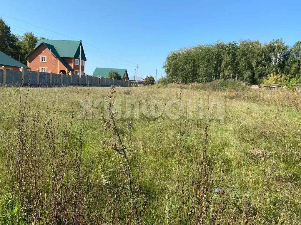 Участок в Новосибирская область, Ордынское рп ул. Водостроевская (10.0 ... - Фото 0