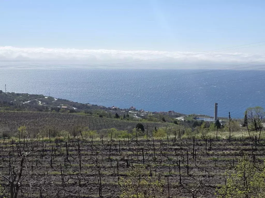 Участок в Крым, Ялта муниципальный округ, с. Оползневое  (6.0 сот.) - Фото 2