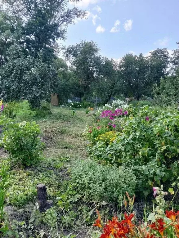 Участок в Московская область, Орехово-Зуевский городской округ, д. ... - Фото 1