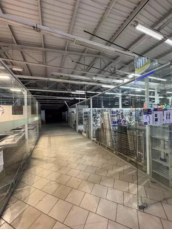 Торговая площадь в Удмуртия, Ижевск Воткинское ш., 178А (3600 м) - Фото 1