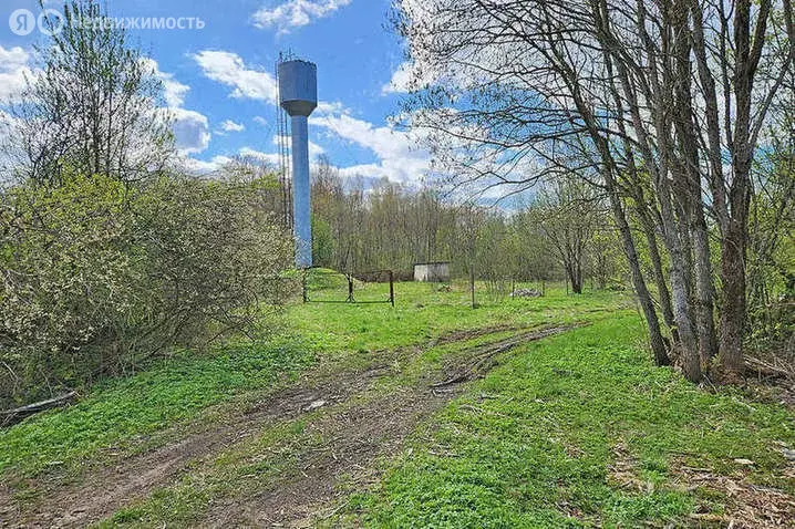 Участок в Савинское сельское поселение, деревня Дубровка (12 м) - Фото 0