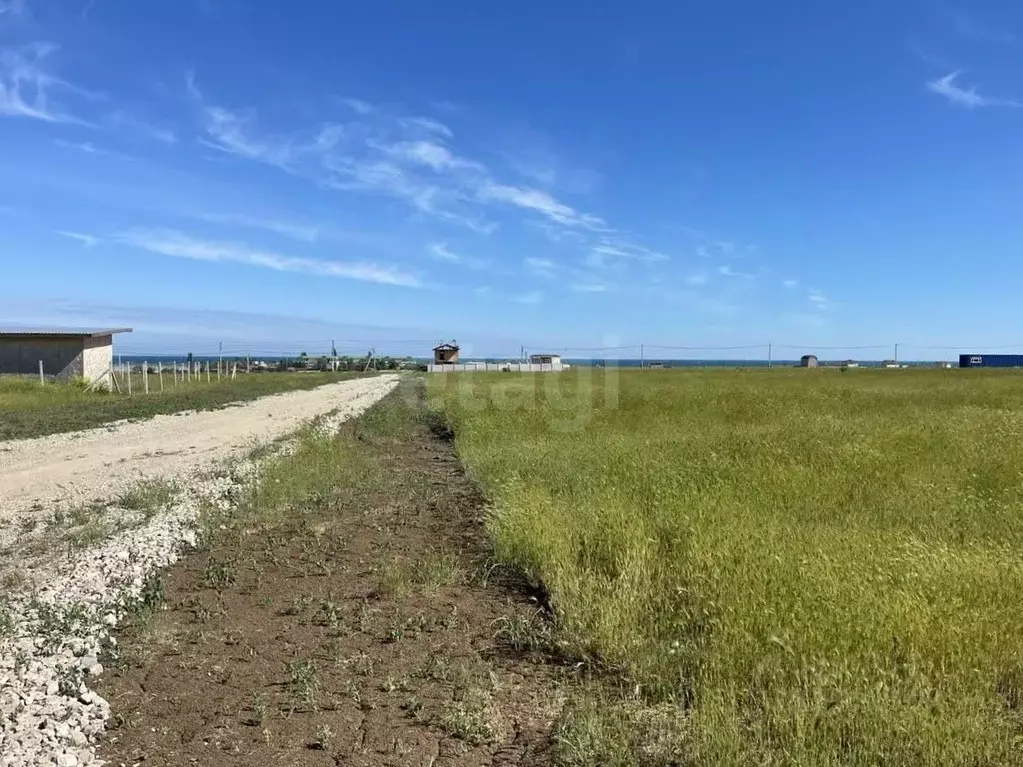 Участок в Крым, Феодосия муниципальный округ, с. Береговое ул. ... - Фото 1