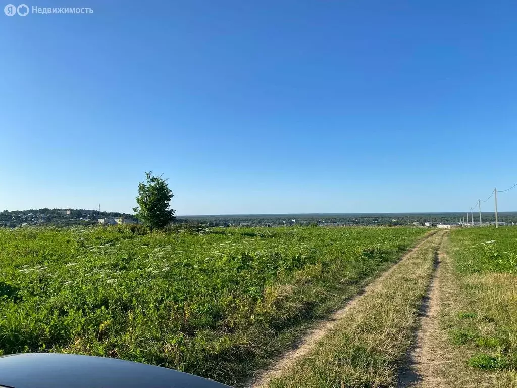 Участок в Владимирская область, Гороховец (16.2 м) - Фото 1