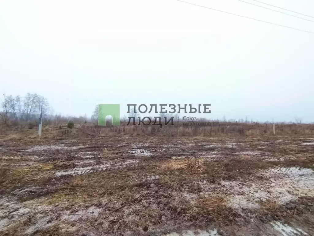 Участок в Орловская область, Орловский муниципальный округ, д. ... - Фото 2