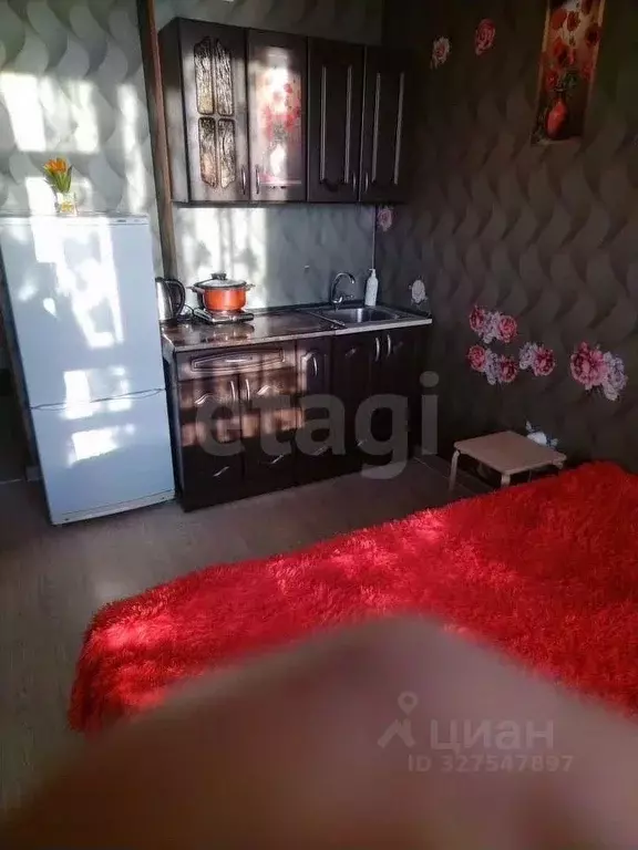 Студия Новосибирская область, Новосибирск Железнодорожная ул., 15/1 ... - Фото 1