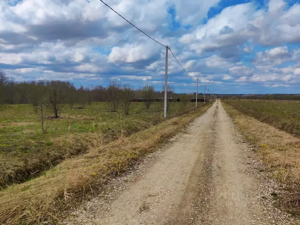 Участок в Московская область, Шаховская городской округ, д. Дор  (6.0 ... - Фото 1