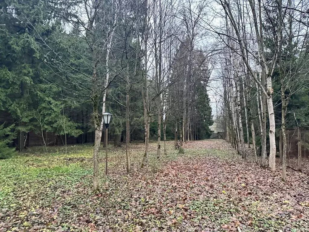 Участок в Московская область, Одинцовский городской округ, ... - Фото 1