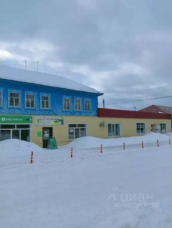 Торговая площадь в Омская область, с. Знаменское ул. Ленина, 19 (500 ... - Фото 1