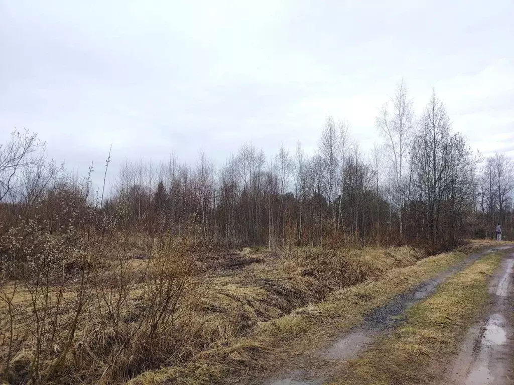 Участок, 9 сот., сельхоз (снт или днп) - Фото 2