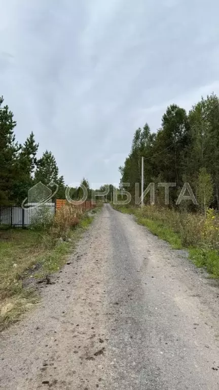 Участок в Тюменская область, Нижнетавдинский муниципальный округ, ... - Фото 1