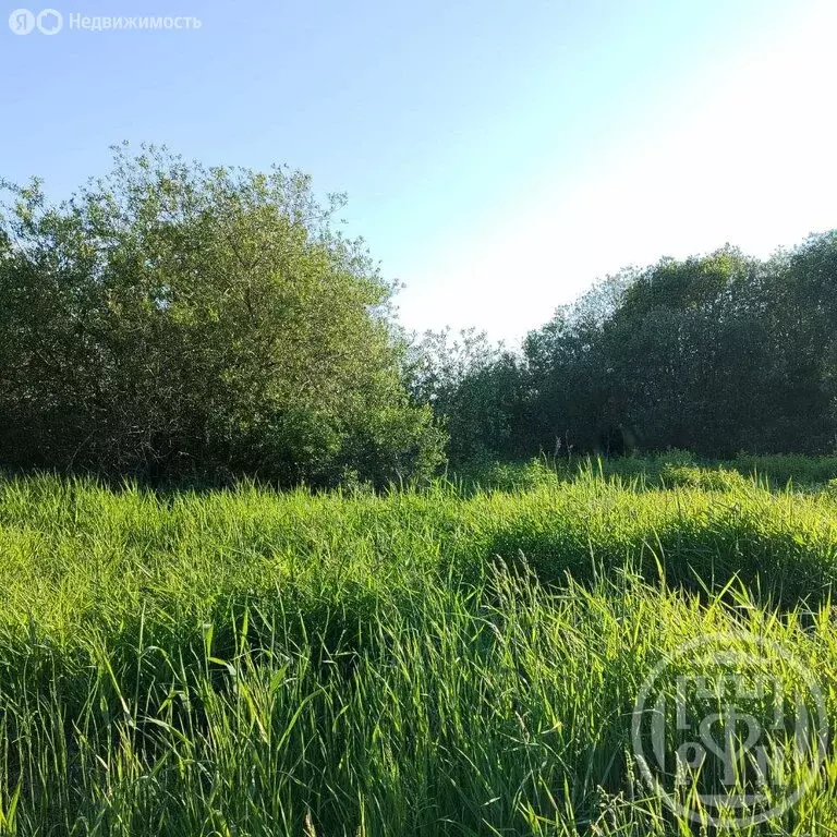 Участок в деревня Покровская, коттеджный посёлок Покровская горка ... - Фото 1