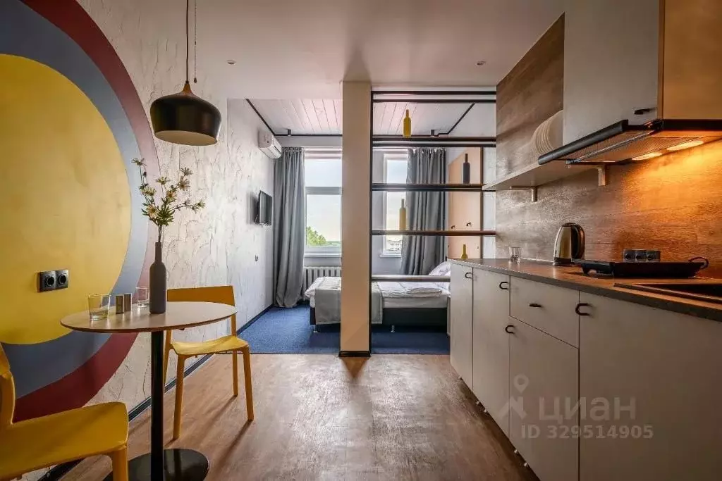 Студия Псковская область, Псков ул. Металлистов, 25 (24.0 м) - Фото 2