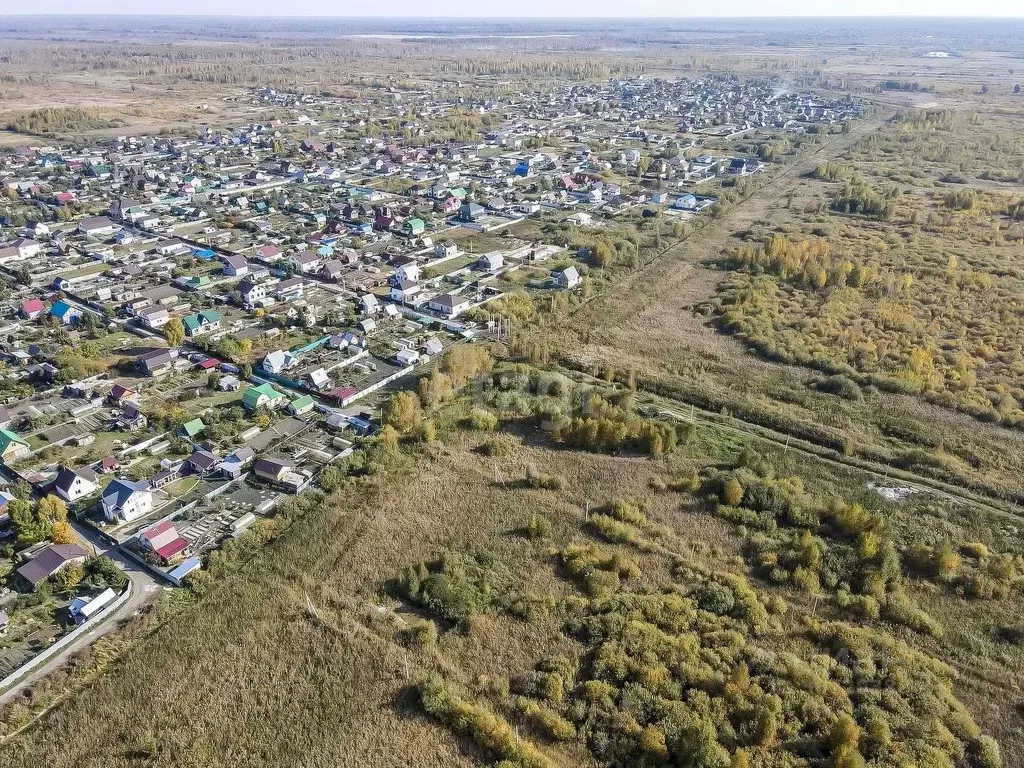 Участок в Тюменская область, Тюмень Садовое товарищество Липовый ... - Фото 0