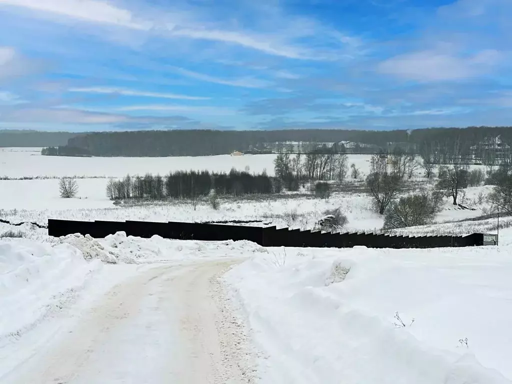 Участок в Московская область, Раменский муниципальный округ, с. ... - Фото 2
