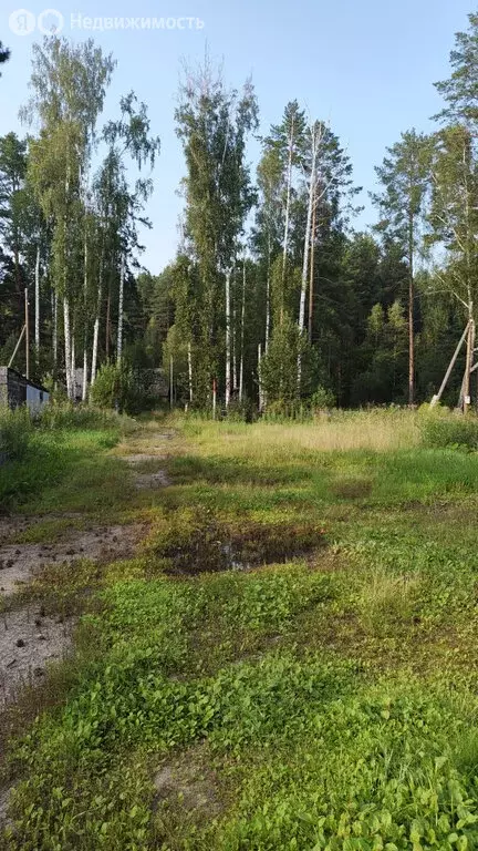 Участок в Заречный, Молодёжная улица, 14 (11.9 м) - Фото 2