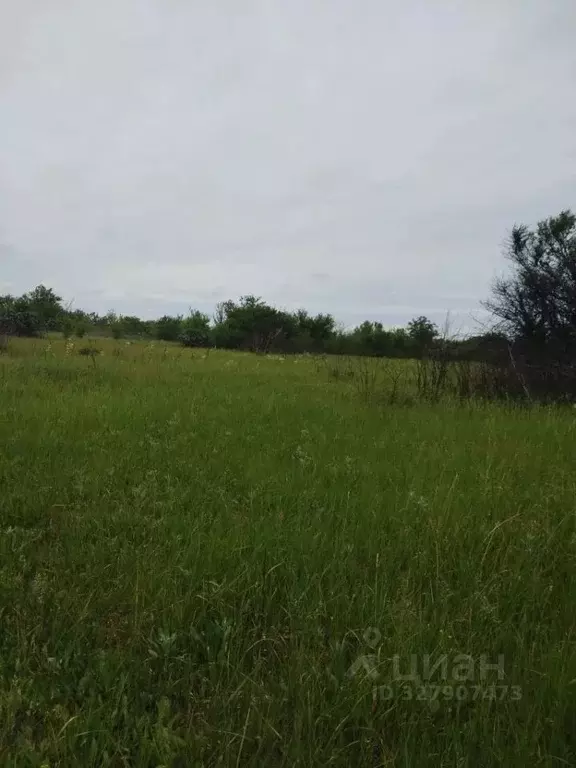 Участок в Краснодарский край, Ейск Весна садоводческое товарищество,  ... - Фото 2