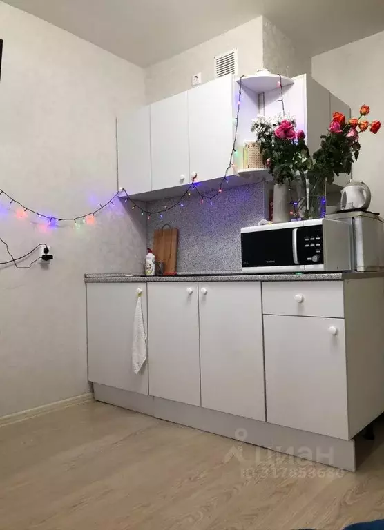 Студия Свердловская область, Екатеринбург ул. Рощинская, 21к3 (21.0 м) - Фото 1