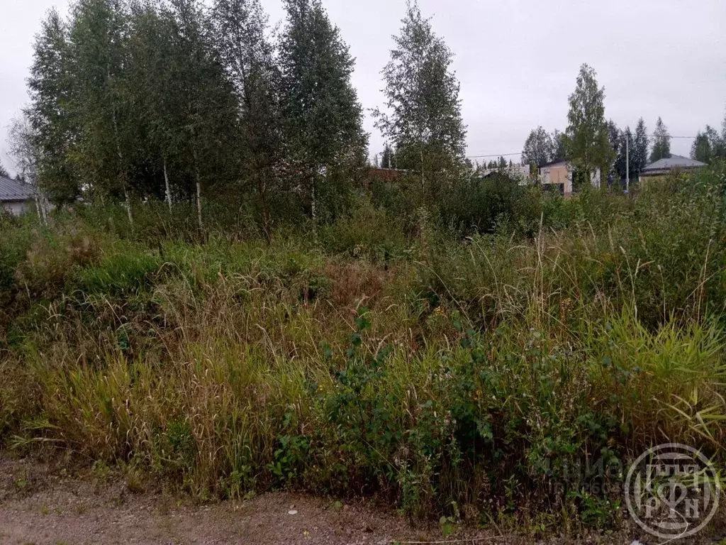 Участок в Ленинградская область, Всеволожск ул. Валаамская (7.3 сот.) - Фото 1