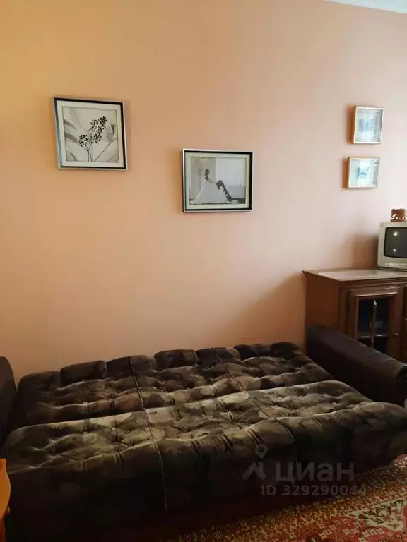 1-к кв. Курская область, Курск ул. Радищева, 50 (35.0 м) - Фото 2