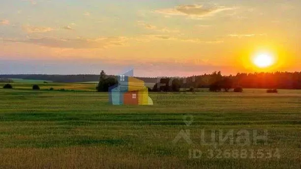 Участок в Московская область, Можайский муниципальный округ, д. ... - Фото 1