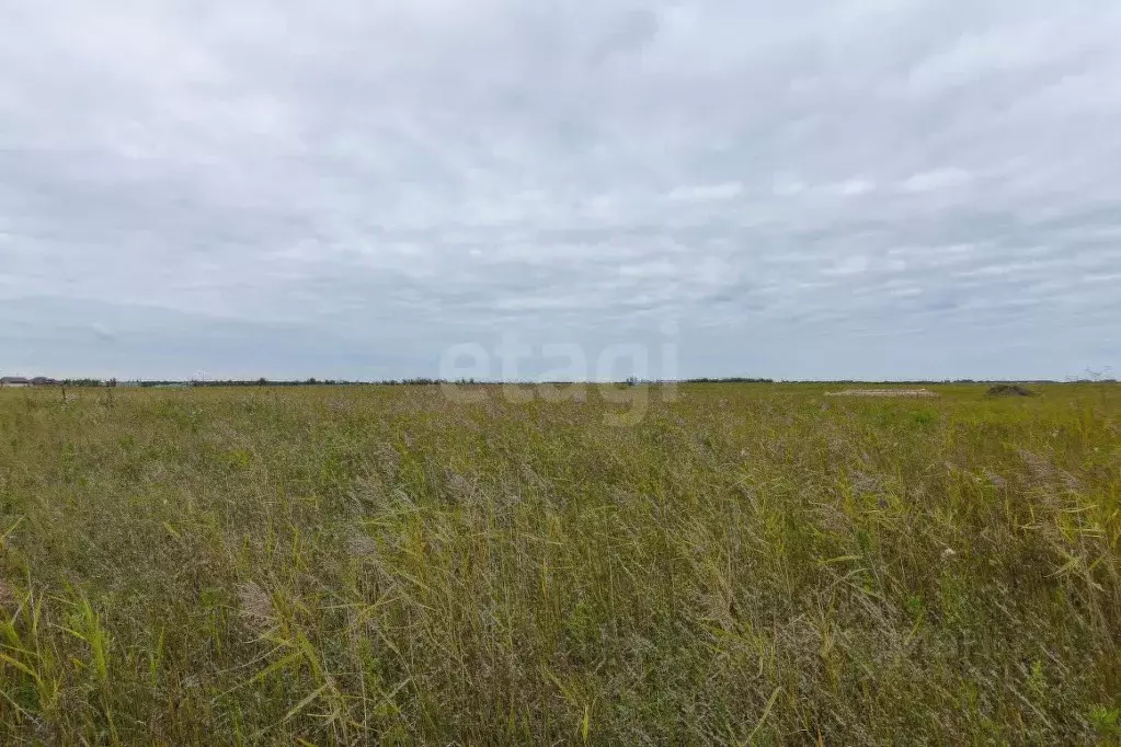 Участок в Тюменская область, Тюмень  (7.12 сот.) - Фото 1