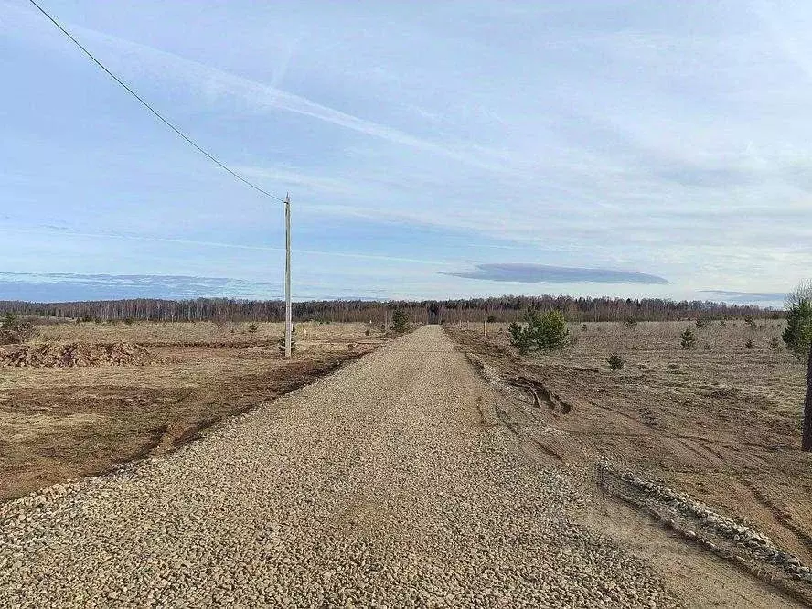 Участок в Ивановская область, Ивановский район, Беляницкое с/пос, д. ... - Фото 2