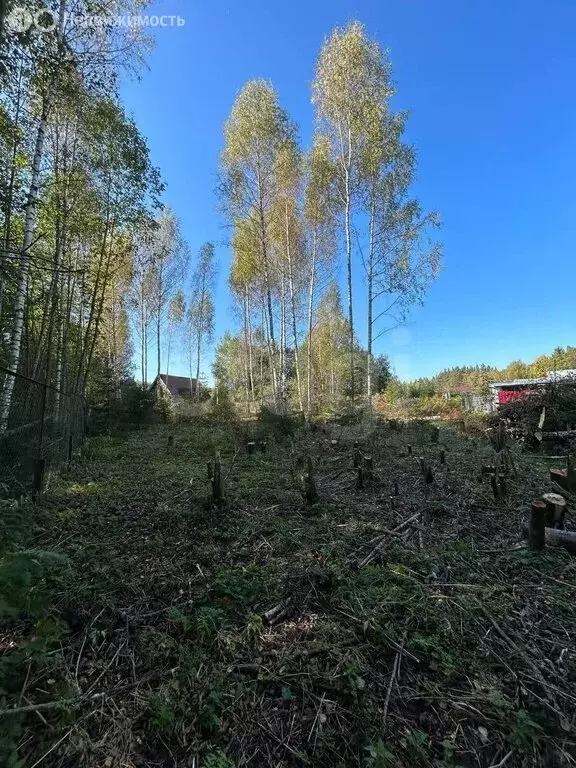 Участок в Московская область, Дмитровский муниципальный округ, СНТ ... - Фото 2