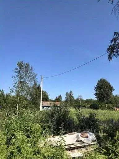 Участок в Новгородская область, Новгородский район, Ермолинское с/пос, ... - Фото 1