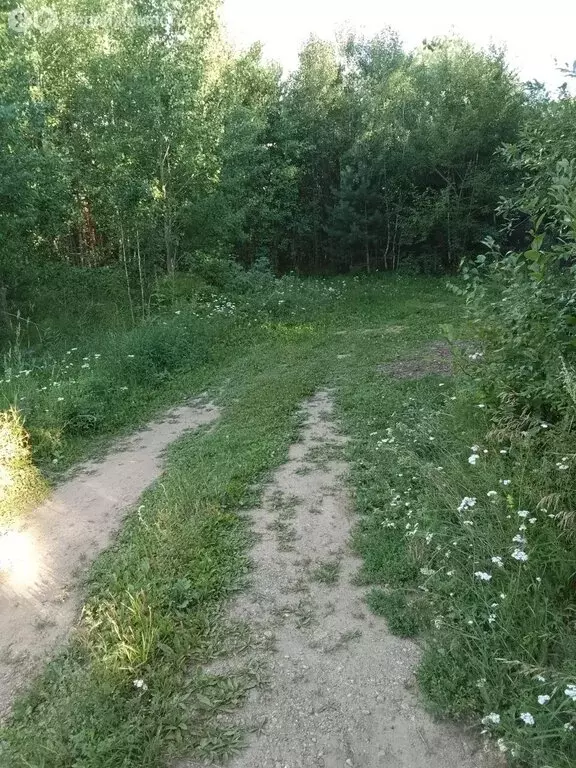 Дом в Иркутский муниципальный округ, СНТ Раздолье-2 (12 м) - Фото 1