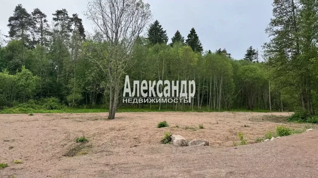 Участок в Ленинградская область, Приозерский район, Ларионовское ... - Фото 1