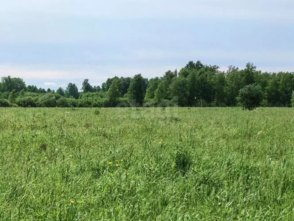 Участок в Кемеровская область, Топки  (116.0 сот.) - Фото 1